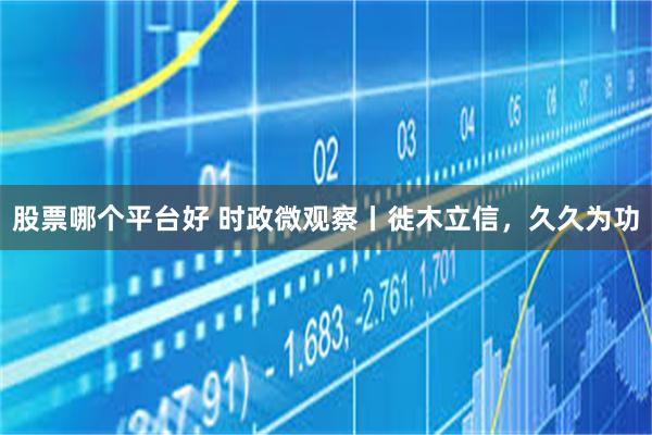 股票哪个平台好 时政微观察丨徙木立信，久久为功