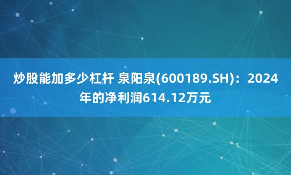 炒股能加多少杠杆 泉阳泉(600189.SH)：2024年的净利润614.12万元