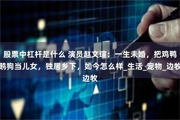 股票中杠杆是什么 演员赵文瑄：一生未婚，把鸡鸭鹅狗当儿女，独居乡下，如今怎么样_生活_宠物_边牧