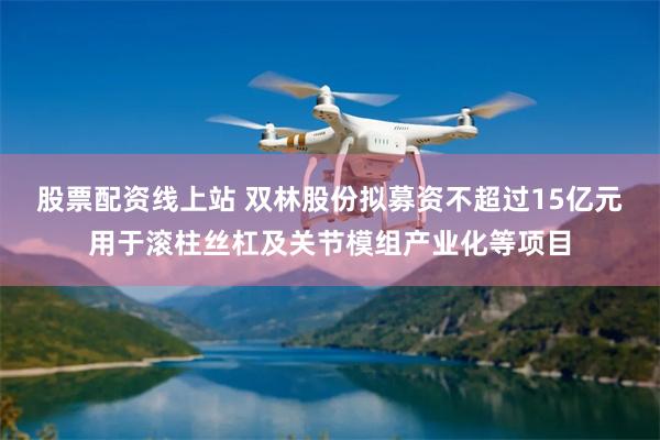 股票配资线上站 双林股份拟募资不超过15亿元用于滚柱丝杠及关节模组产业化等项目