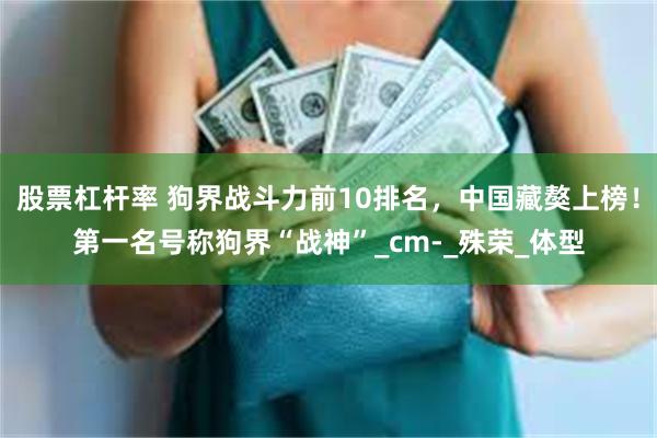 股票杠杆率 狗界战斗力前10排名，中国藏獒上榜！第一名号称狗界“战神”_cm-_殊荣_体型