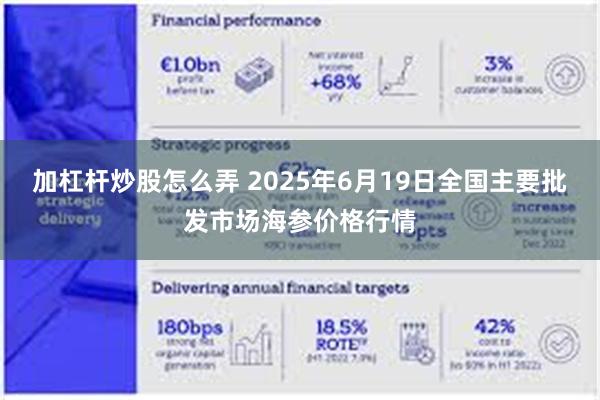 加杠杆炒股怎么弄 2025年6月19日全国主要批发市场海参价格行情