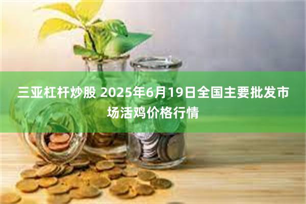 三亚杠杆炒股 2025年6月19日全国主要批发市场活鸡价格行情