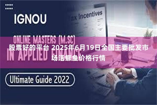 股票好的平台 2025年6月19日全国主要批发市场活鳜鱼价格行情