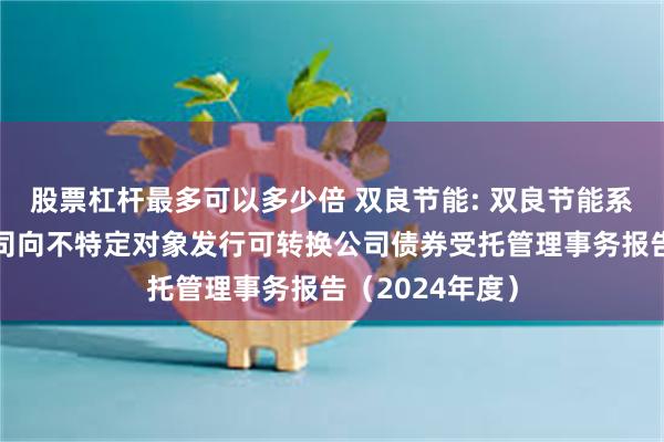 股票杠杆最多可以多少倍 双良节能: 双良节能系统股份有限公司向不特定对象发行可转换公司债券受托管理事务报告（2024年度）