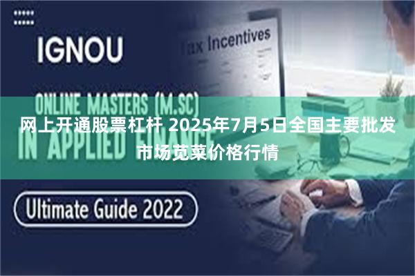网上开通股票杠杆 2025年7月5日全国主要批发市场苋菜价格行情