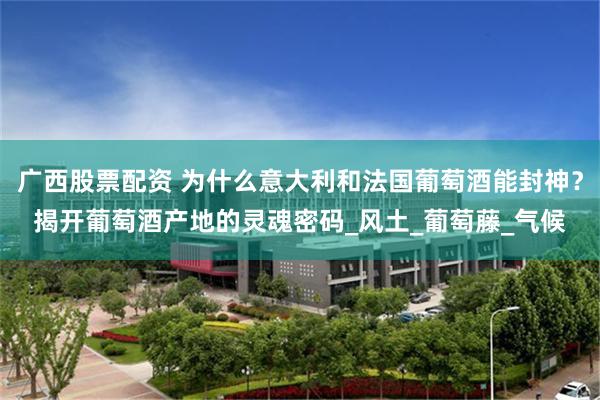 广西股票配资 为什么意大利和法国葡萄酒能封神？揭开葡萄酒产地的灵魂密码_风土_葡萄藤_气候