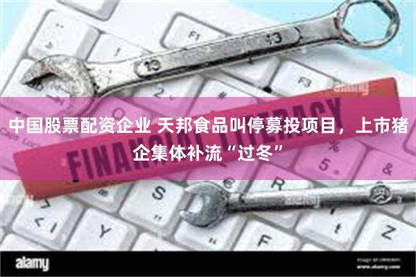 中国股票配资企业 天邦食品叫停募投项目,上市猪企集体补流“过冬”