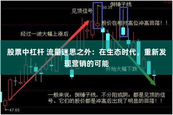 股票中杠杆 流量迷思之外：在生态时代，重新发现营销的可能